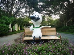 -福田红树林生态公园
