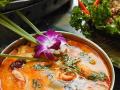 冬阴功汤锅-Molee·泰府(东郊店)