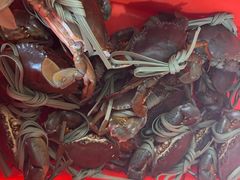 -老财炒饭·熟地蟹·冬瓜蟹