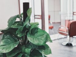 -崇尚GAVIN STYLE臻选