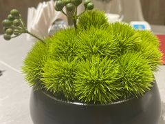 -神洲四海大酒楼(王府井澳门中心店)