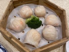 虾饺-麒麟中餐厅·经典粤菜·地道菜式老字号(广州长隆酒店)