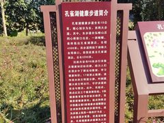 -孔雀湖生态旅游区