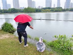 -尚贤河湿地