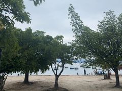 -抚仙湖禄充风景区
