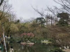 -柳浪闻莺公园
