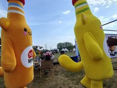 -北京雁栖湖国际会展中心