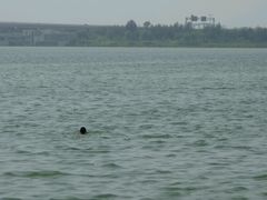 -丁香湖公园