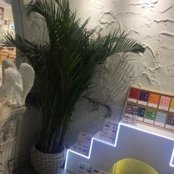 -US•美甲艺术 | 冕光