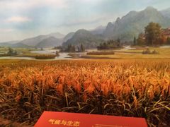 -台州博物馆