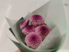 -小苍兰风铃草蛋糕甜品(沈阳店)