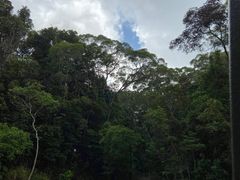 -热带雨林自然公园