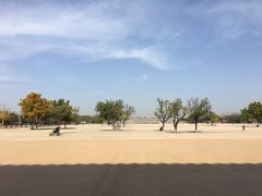 -大明宫国家遗址公园·御道广场