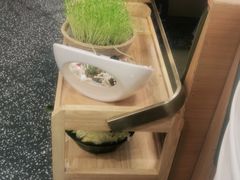 -洪氏嗨捞·猪肚鸡火锅(阳光天地店)
