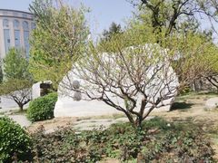 -北京明城墙遗址公园