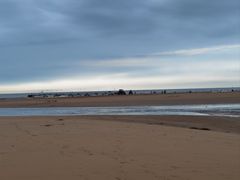 -日照海滨国家森林公园