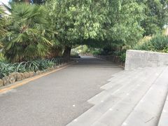 -墨尔本皇家植物园