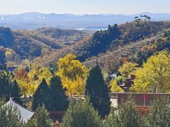 -遵化市禅林寺古银杏风景园