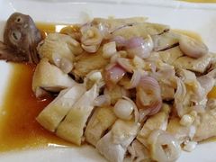 葱油淋鸡-姚林轩