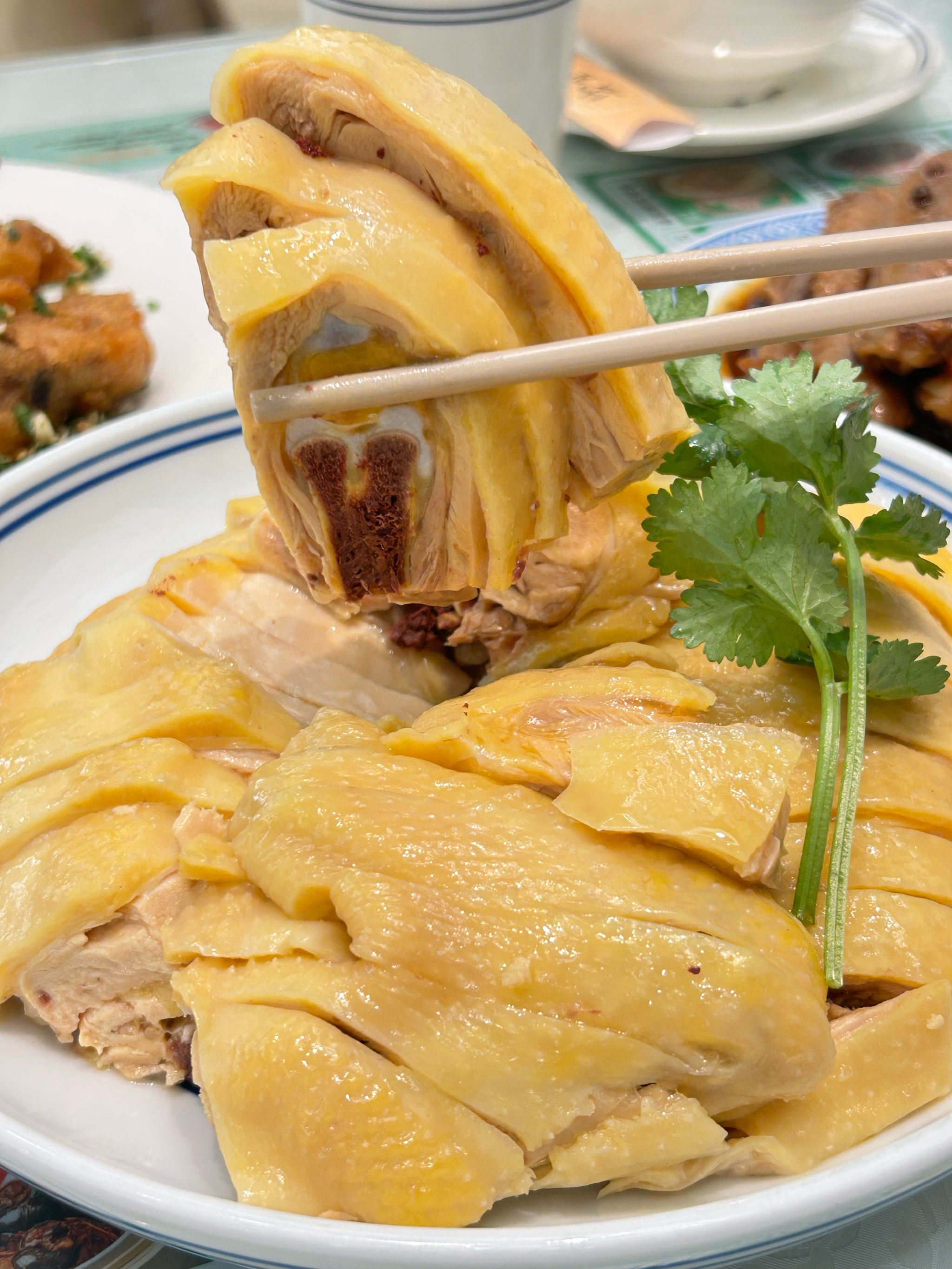 白斩鸡🐔我只吃阿金大白家的🥰