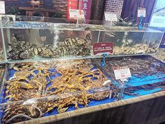 水产区-船歌·鱼水饺青岛菜(闽江二路店)
