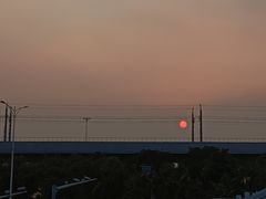 -宝安西湾红树林湿地公园