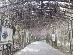 -苏州太湖国家湿地公园