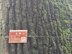 -北京上方山国家森林公园