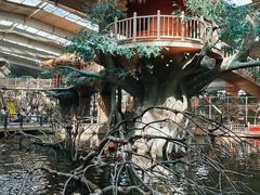 -南宫五洲植物乐园