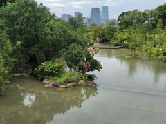 -云溪植物园
