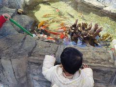 -苏州海洋馆