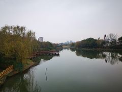 -新江湾城公园