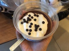 -Blueglass酸奶(财富购物中心店)