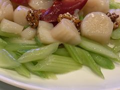 -上海外滩茂悦大酒店