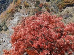 -叠溪松坪沟景区