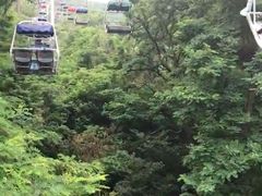 -富斯特索道