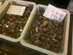 海螺-海岛渔村大酒店(云霄路店)