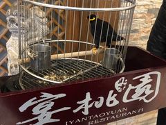 -宴桃园(门头沟店)