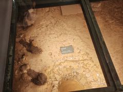 -南越王博物院(王宫展区)