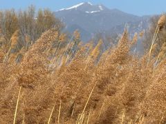 -野鸭湖国家湿地公园