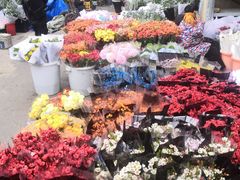 -循礼门鲜花花市(武汉循礼门店)