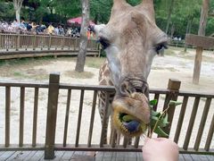 -上海野生动物园