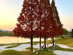 -南京银杏湖乐园