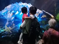 -侏罗纪世界电影特展(广州站)