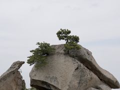 -华山风景名胜区
