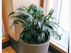 -德克士(南城店)