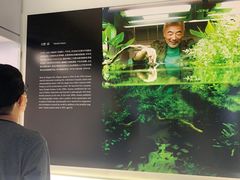 -ADA自然水景世界