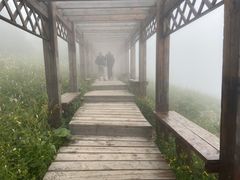 -白草畔自然风景区