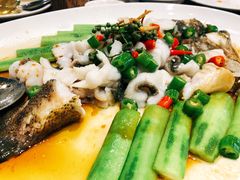 -猪肉婆私房菜(容桂总店)