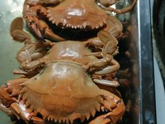 -邹记·美食(斗门店)